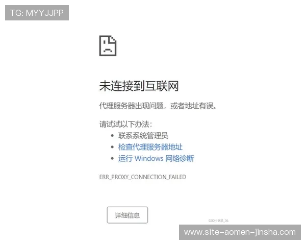如何排查金沙网址打不开的技术问题以及提升访问稳定性的实用技巧