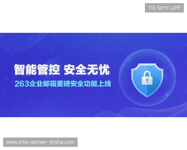 金沙国际版安全保障措施详解,确保玩家账号信息与财产安全的实用指南