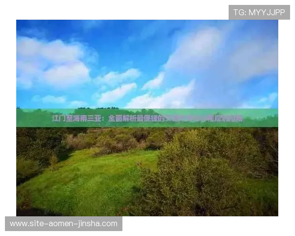 了解金沙城会员卡的不同类别及其特色功能全面指南 了解金沙城会员卡的不同类别及其特色功能全面指南