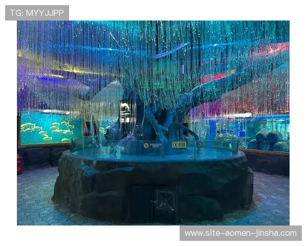 回力海立方官网最新赛事信息与线上线下活动参与指南