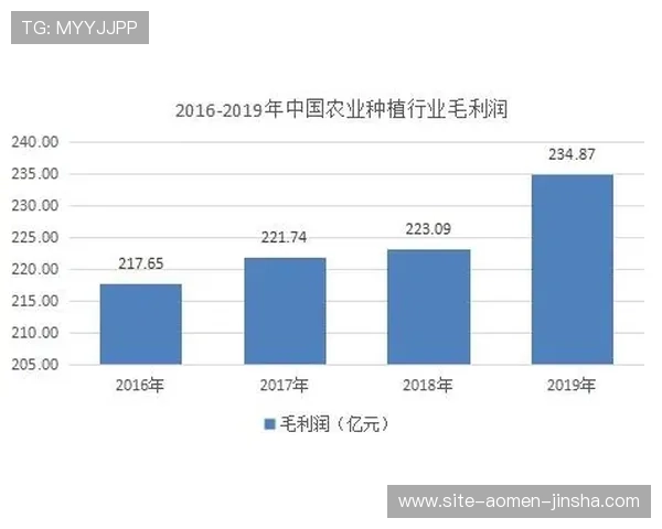 利记现金网优惠政策全面介绍助力玩家提升盈利空间