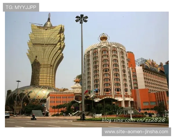 新濠锋娱乐场所怎么样分析其安全措施与玩家权益保障情况