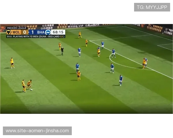 水晶宫队官网最新赛程信息与球队动态全面解析