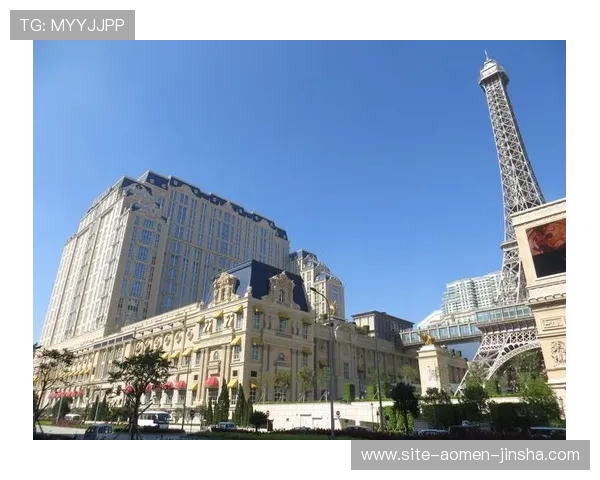 澳门巴黎人网址登录线路最新更新信息，提升登录速度与安全性的全面解析