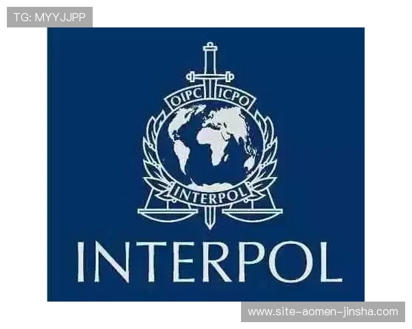 澳门彩登录下载入口官方渠道，确保账号安全与游戏体验优质保障