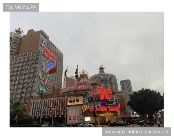 澳门有几家赌厅有哪些著名的赌厅值得玩家优先选择澳门赌厅的合法经营范围与监管措施详解