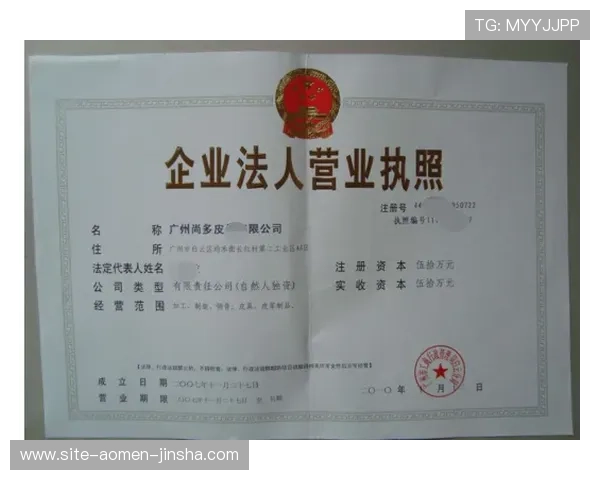 确保金沙官网合法运营必备的营业执照办理指南与注意事项