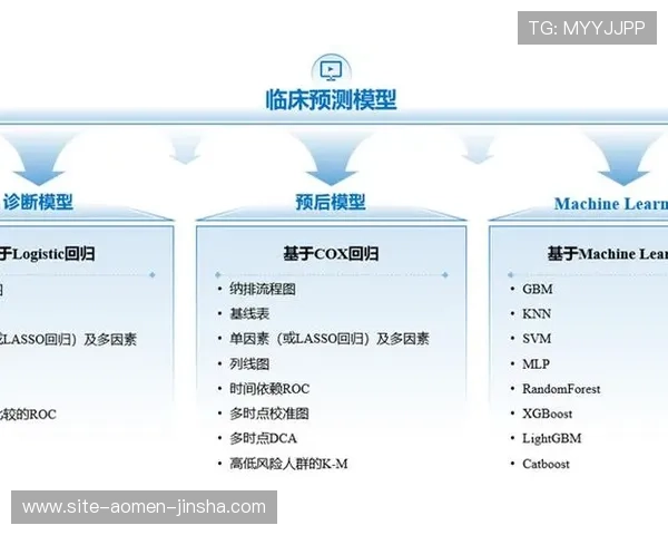 南非对韩国比赛射门数据全面分析助你了解比赛关键瞬间 南非对韩国比赛射门数据全面分析助你了解比赛关键瞬间